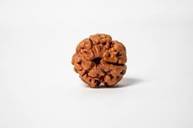 Benefits of 3 Face Rudraksha