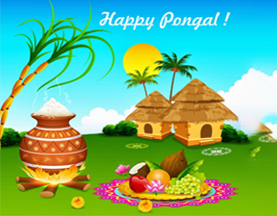 Pongal Festivals