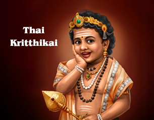 Thai Kirthigai