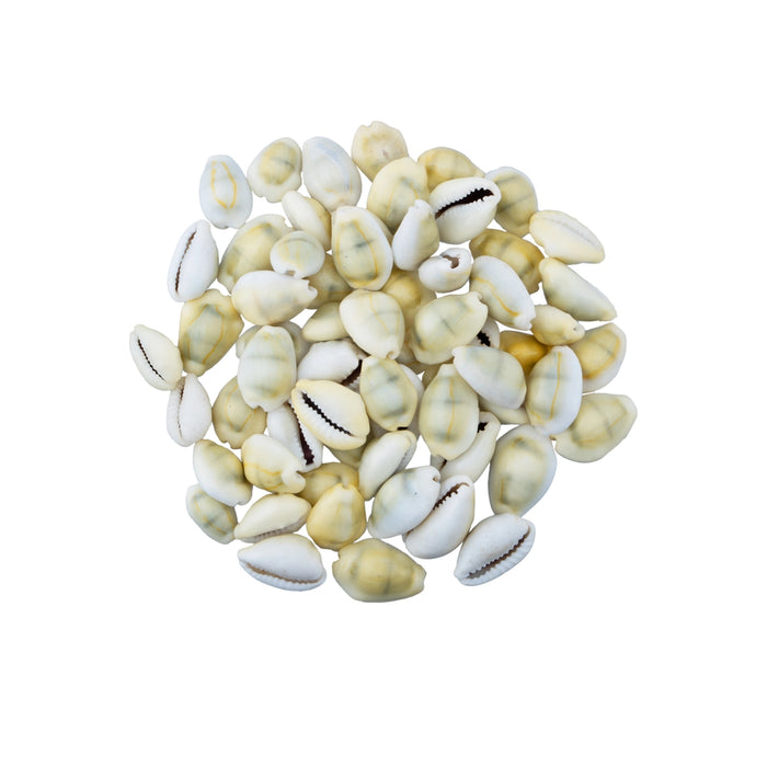 Yellow Chozhi - 100 Gms | Cowrie Shells/ Kaudi/ Sozhi for Pooja
