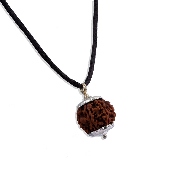5 Mukhi Rudraksha Beads With Silver Cup | Nepali Rudraksh Bead/ Kalagnirudra 5 Mukhi Rudraksh for Stress Relief