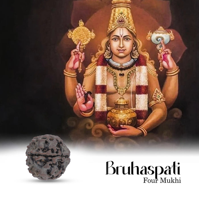 Rudraksham Bead | Mukhi Rudraksha/ Rudraksha Bead for Men and Women
