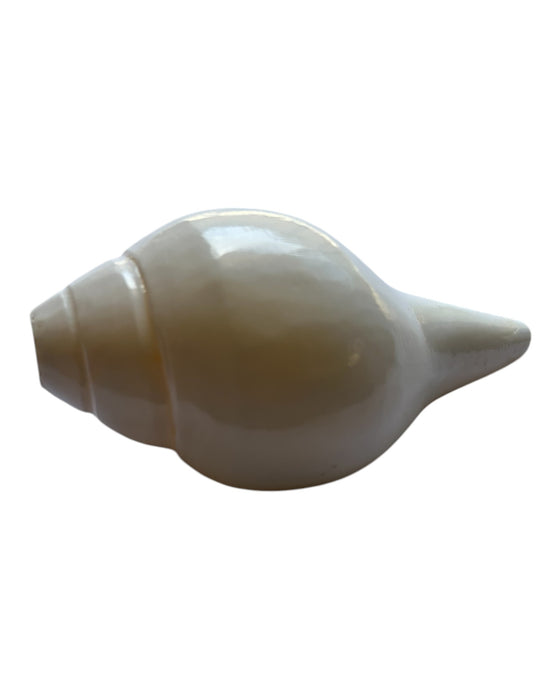 Abhishek Shankh - 3.7 Inches | Puja Conch Shell/ Abishekam Sangu for Divine Purpose/ White Colour