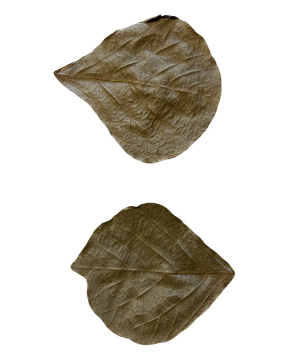 Purasu Leaf (pack of 10)