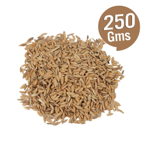 GiriAus Nel - 100 Gms | Unbroken Pieces of Rice/ Paddy for Hawan & Pooja