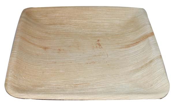 Urban Palm Square Dinner Plate-105 inches