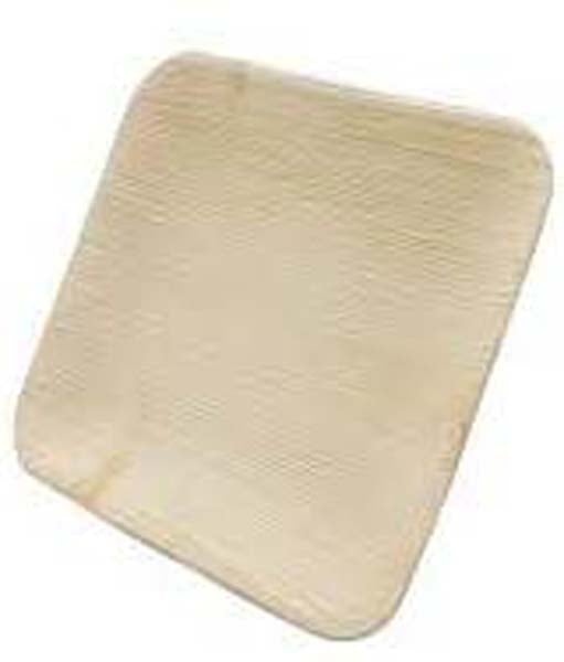 Urban Palm Square Bowl Medium-55 inches