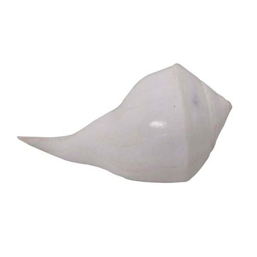 Abhishek Pooja Shank - Sr