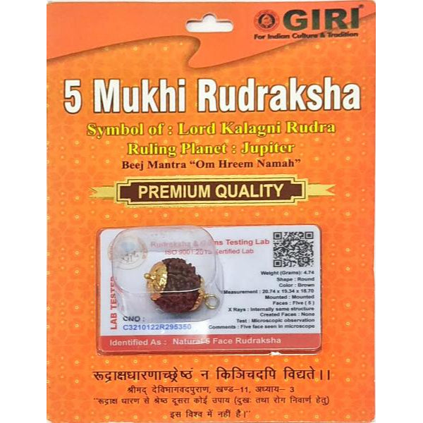 Rudraksha Bead | Jewellery/ Rudraksh Bead for Men and Women