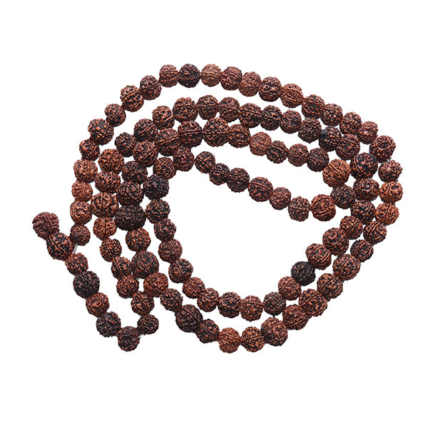 Rudraksha Mala with Thread Knot | 6 Mukhi/ 108 Beads/ 6 Mugam Rudra Japa Mala/ 6 Face Kantha Mala