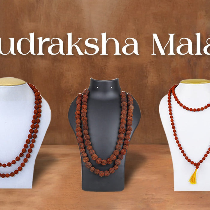The Power of Rudraksha Mala in Daily Meditation