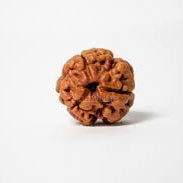 Benefits of 3 Face Rudraksha