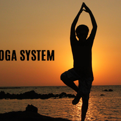 Yoga System