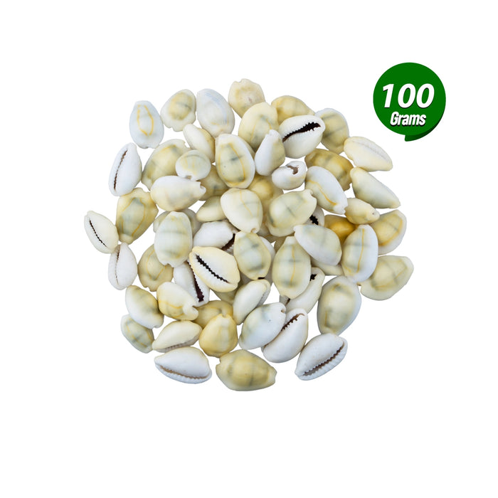 Yellow Chozhi - 100 Gms | Cowrie Shells/ Kaudi/ Sozhi for Pooja