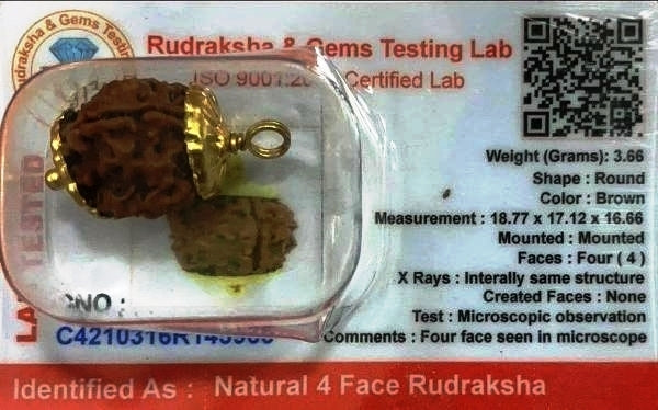 Rudraksha Bead | Jewellery/ Rudraksh Bead for Men and Women
