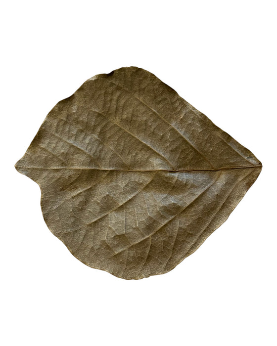 Purasu Leaf (pack of 10)