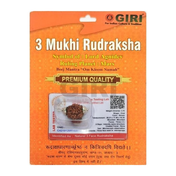 Rudraksha Bead | Jewellery/ Rudraksh Bead for Men and Women