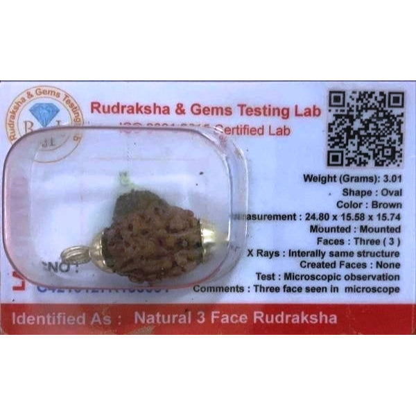 Rudraksha Bead | Jewellery/ Rudraksh Bead for Men and Women